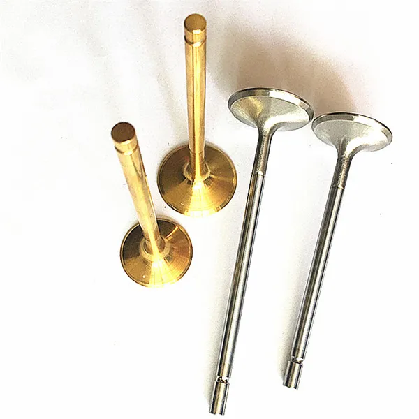 ATV Quad Bikes Accessories Performance Engine Valves for Dinli 450 R