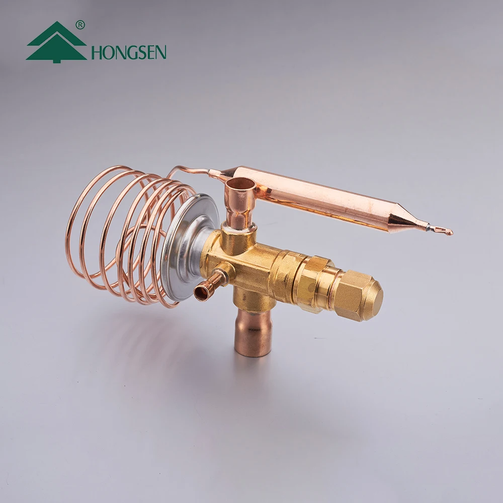 Hongsen Erf Thermostatic Expansion Valve For Refrigeration R22 R407c ...