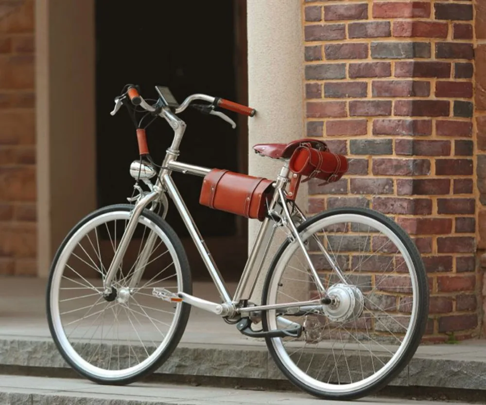 classic style electric bike