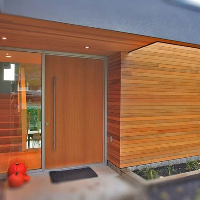 Modern Design System Floor Spring Entry Front Pivot Door
