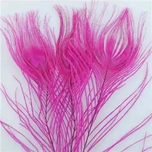 安い孔雀の羽| Alibaba.com