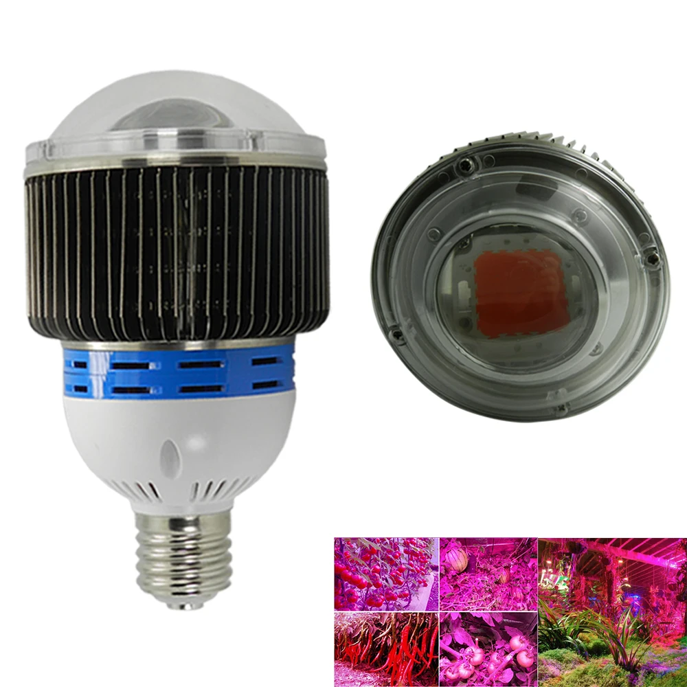 100w led grow light china