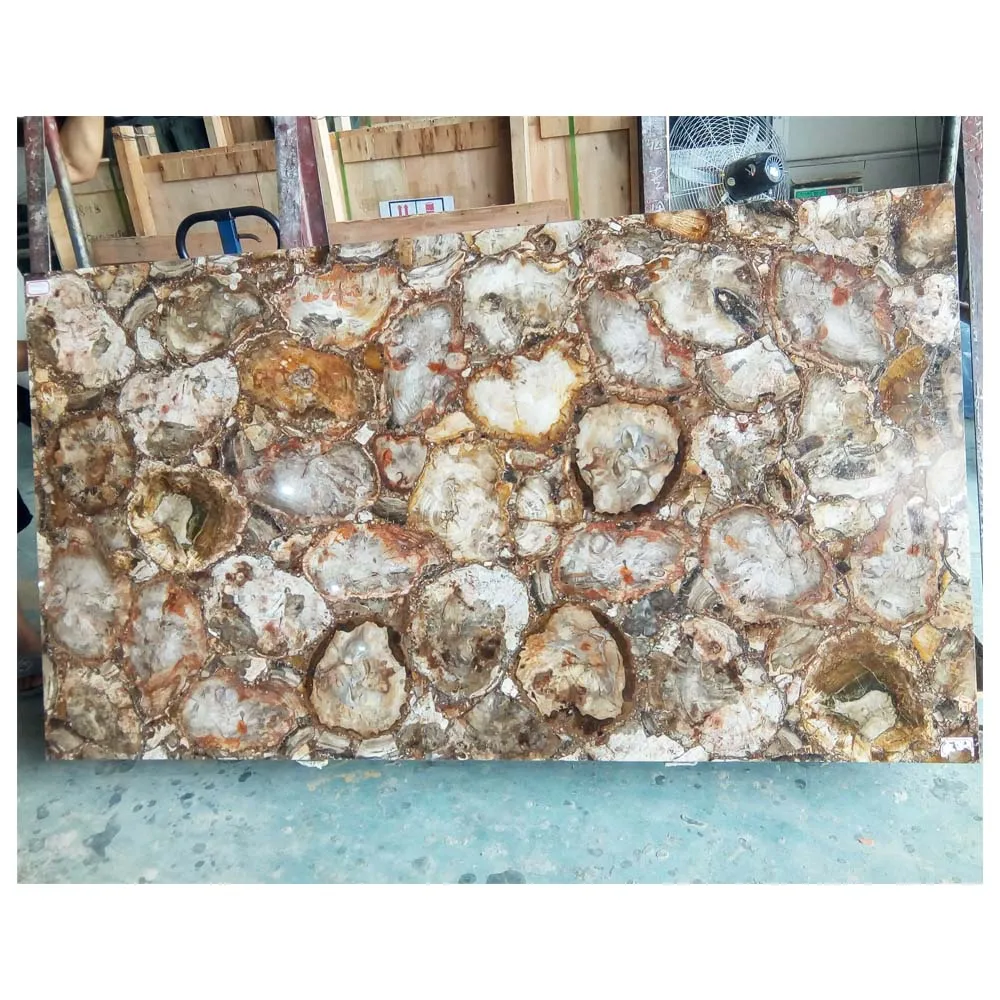 化石木、化石木スラブタイル/化石石 販売中| Alibaba.com