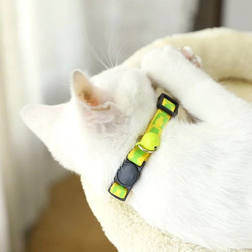 breakaway flea collar