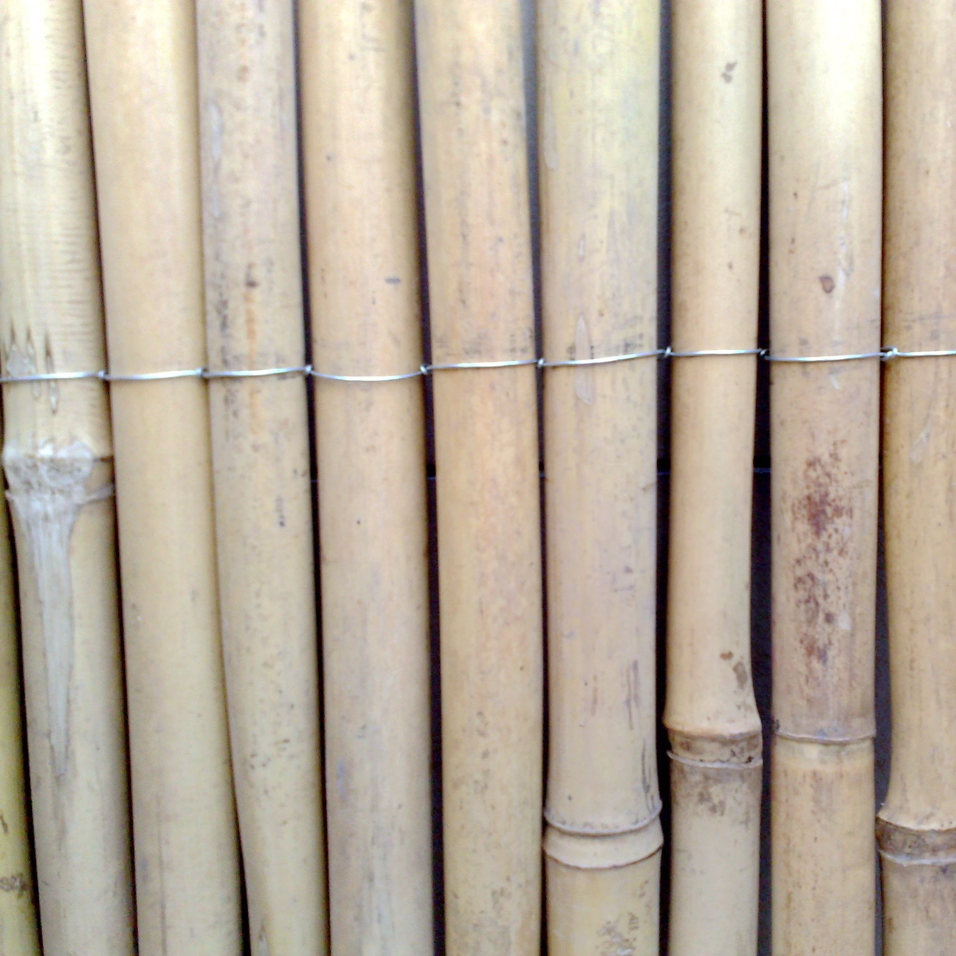 Goedkope Opvouwbare Kunstmatige Bamboe Hekwerk - Buy Kunstmatige Bamboe Staaf Hekwerk,Goedkope Bamboe Staaf Hekwerk,Vouwen Bamboe Staaf Hekwerk Product on Alibaba.com