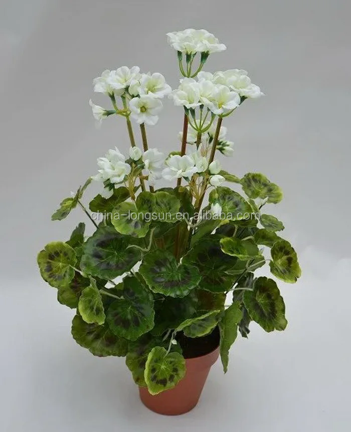 Ls16070422 Wholesale Factory Yellow Color Plastic Leaves Fall Color  Artificial Begonia Plant Bonsai With Flowers - Buy Artificial Begonia  Flower Bonsai,Artificial Begonia Plant,Artificial Begonia Bonsai Product on  