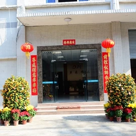 Dongguan Domi Jewelry Co., Ltd.