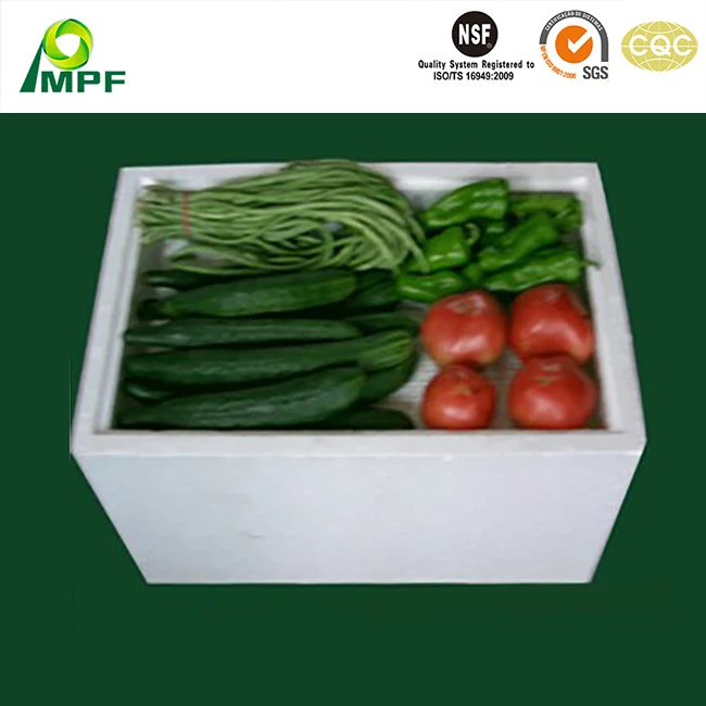 Customized Lightweight Insulating Reusable EPP Foam Plastic Molded Packaging Box