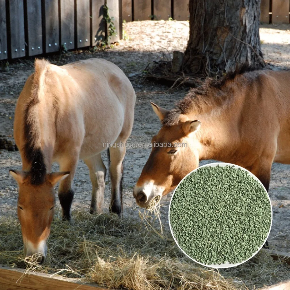 Natural Zeolite Clinoptilolite for animals pig, horse, cattle feed
