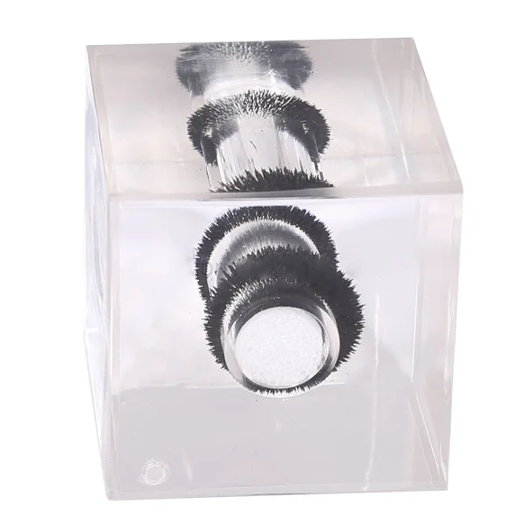 3D Magnetic Field Observation Box
