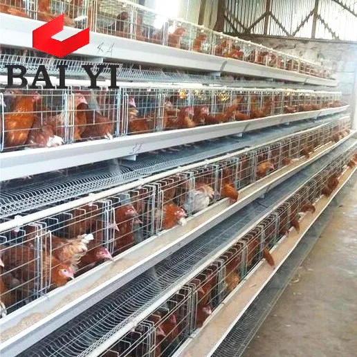 promozioni) 2019 gabbia per galline ovaiole utilizzate gabbie e  attrezzature agricole per la vendita