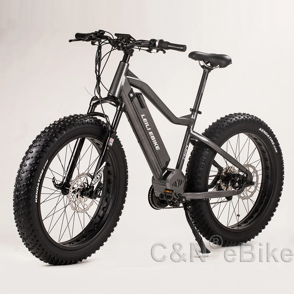 mid motor ebike