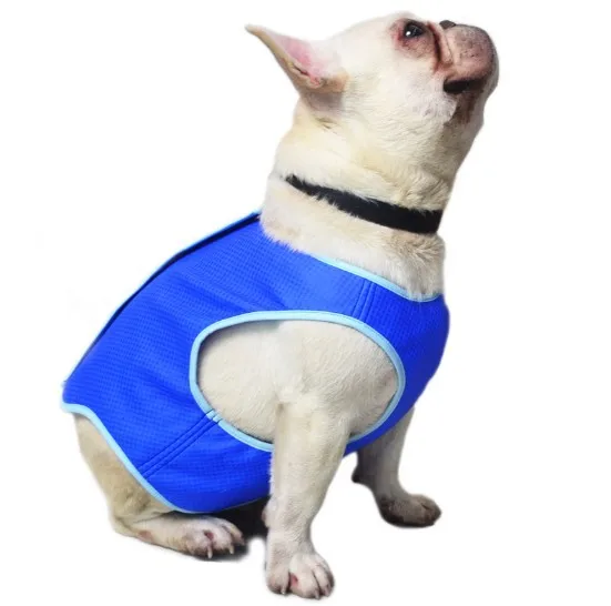 bingpet dog cooling jacket