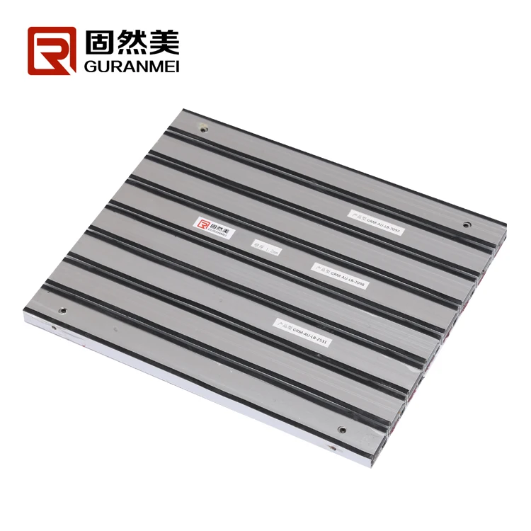 Aluminum Dust Remove Mat with Rubber Strip and Carpet Insert Matting