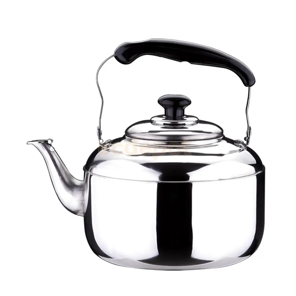 metal kettle stove top