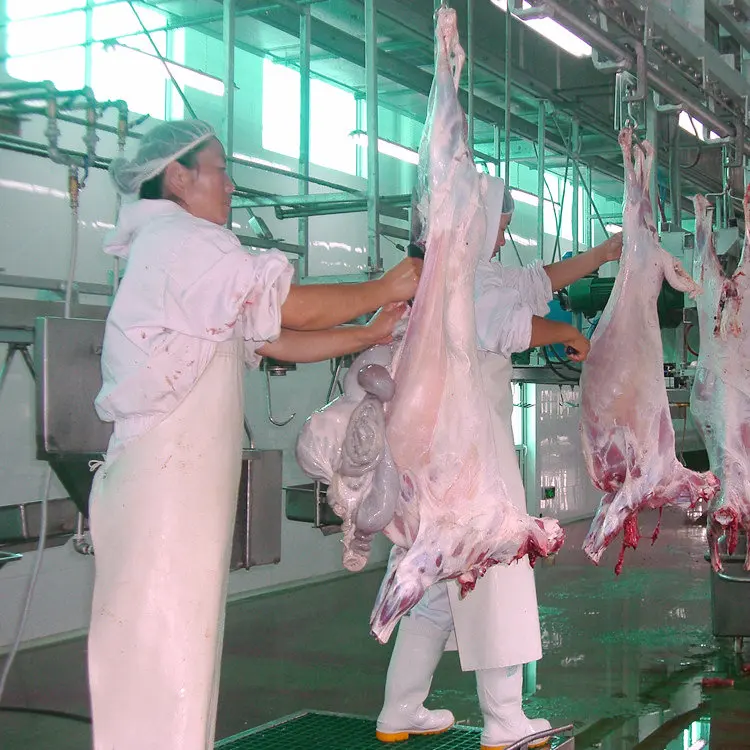 High Quality Lamb Sheep V Race, V Suppressor Box Machine, Sheep V Slaughter Equipment
