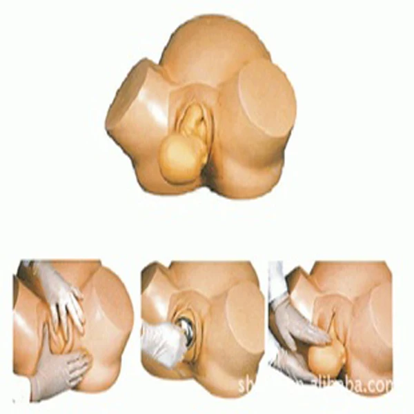 
Симулятор обучения научным уходу, механизм доставки, демонстрация обучения, высококачественная медицинская экстренная модель для беременных людей 