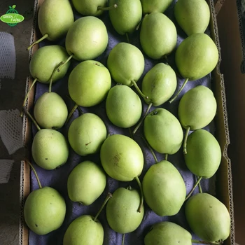new crop thailand fruit farm ya pear