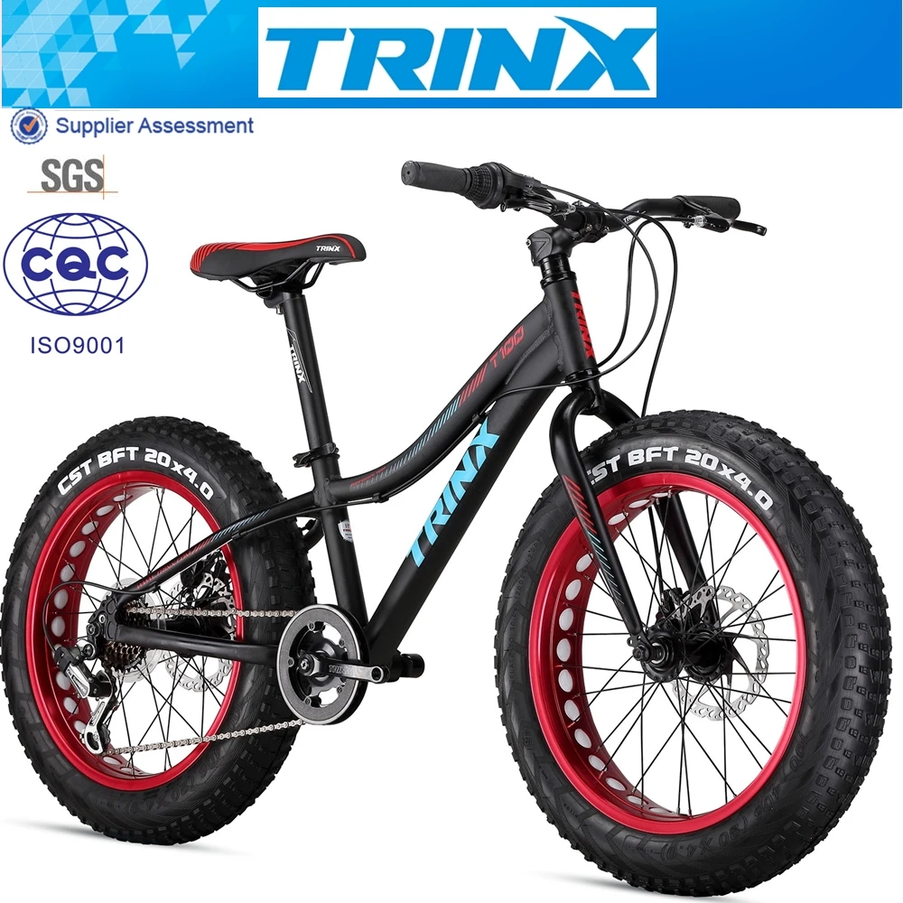 trinix hybrid cycle