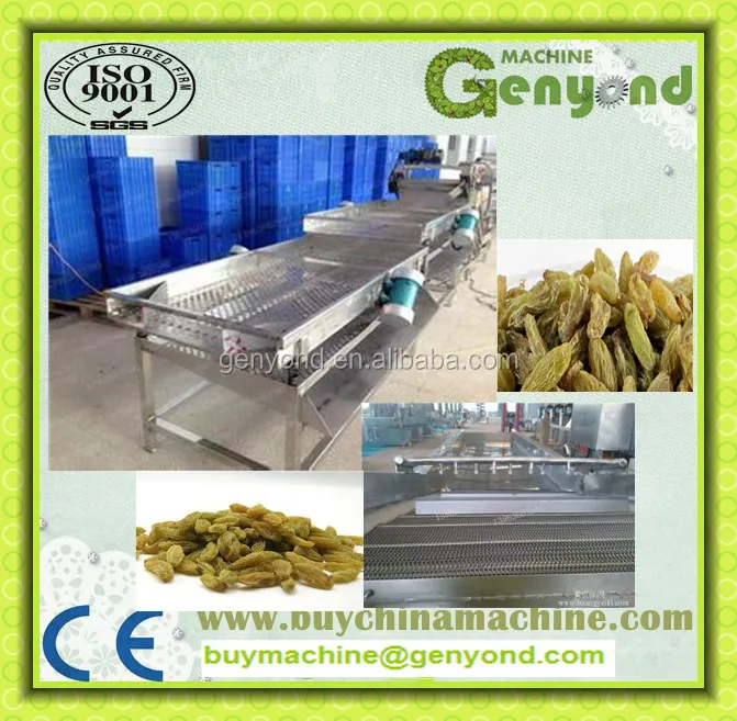 Industrial Raisin Cleaning and Sorting Line / Raisin Processing Machine