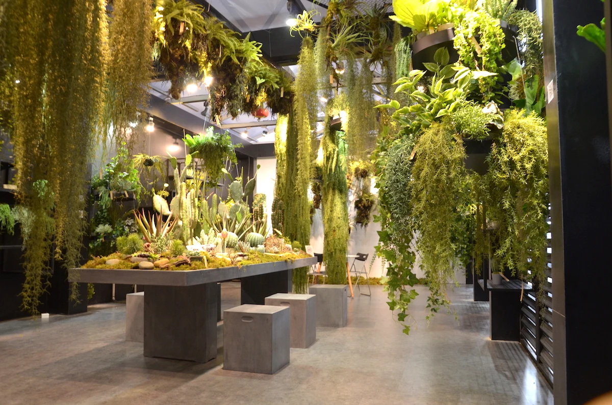 Nifloral Real Touch Artificial Indoor Decorative Trees Supplies Buy Indoor Artificial Trees