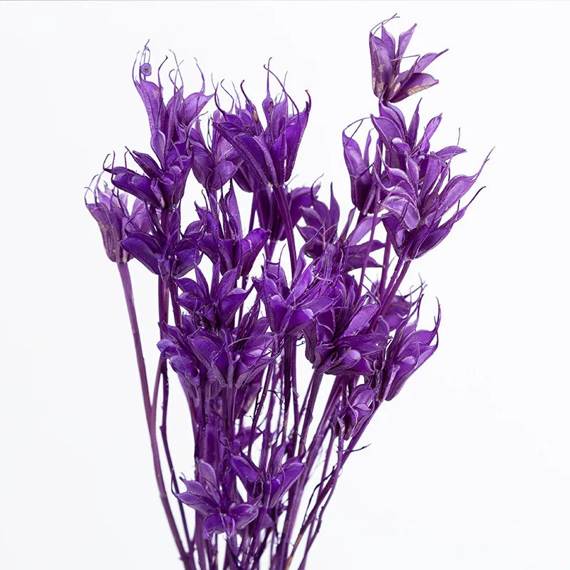 Заводской сушеный цветок, консервированный восьмиугольный цветок для композиции консервированных цветов