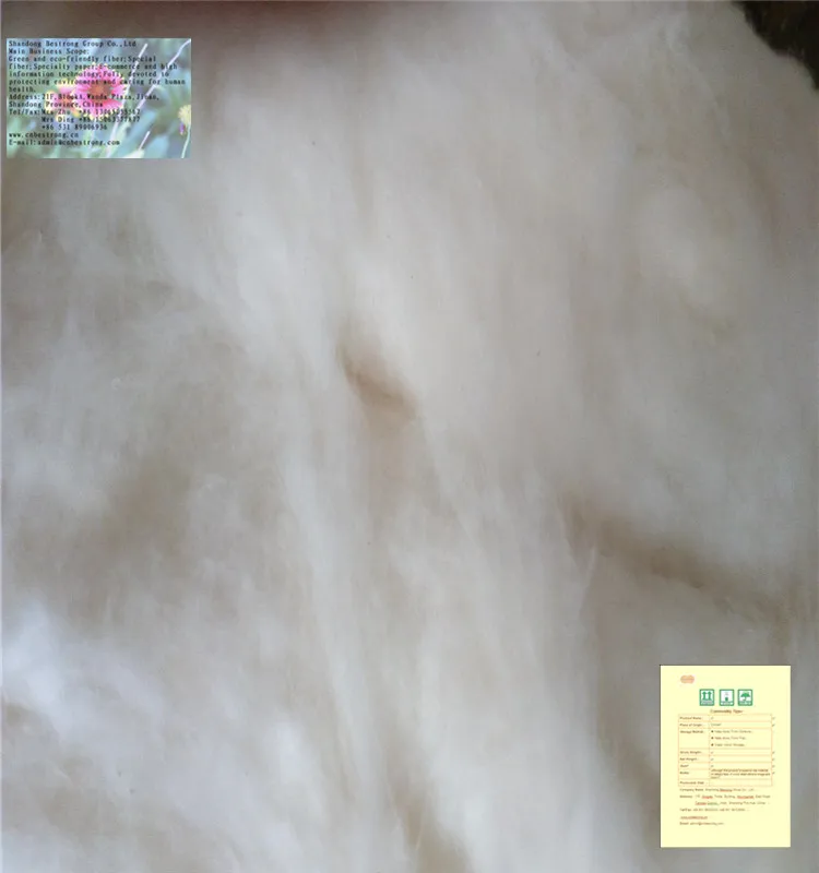 セール格安】 バージン綿パルプ用nitrocellulose Buy Virgin Cotton Pulp,Cotton Pulp For  Nitrocellulose,Cotton Pulp Product