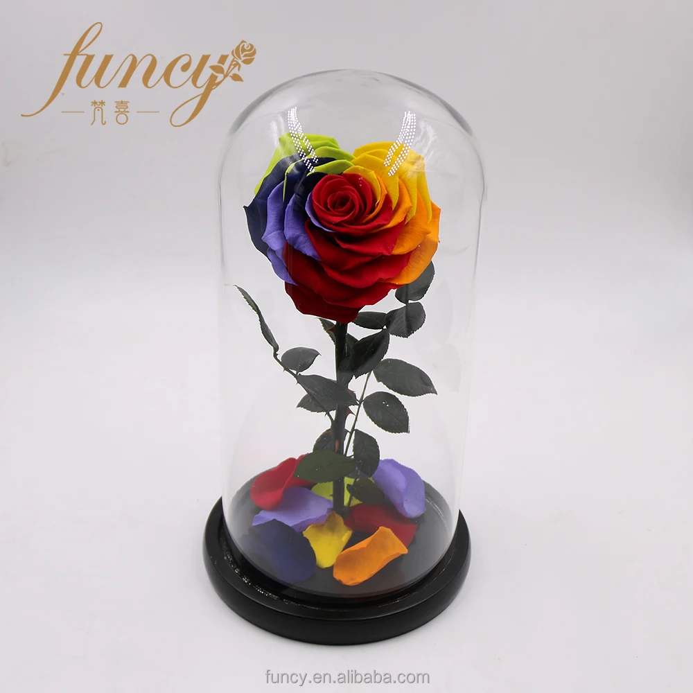 In Glass - Rainbow Christmas Flower - Romato Rainbow Christmas Flower