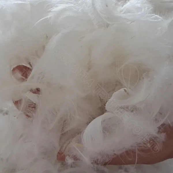 Natural Raw Material White Duck Down Feather Wholesale