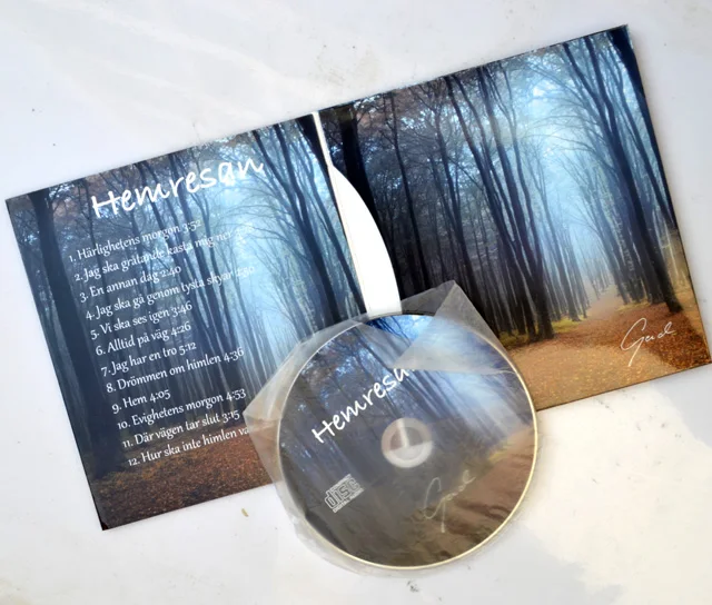 Custom Design Flat or Gate Fold Paper Cardboard Sleeve CD DVD Vinyl Record Packaging