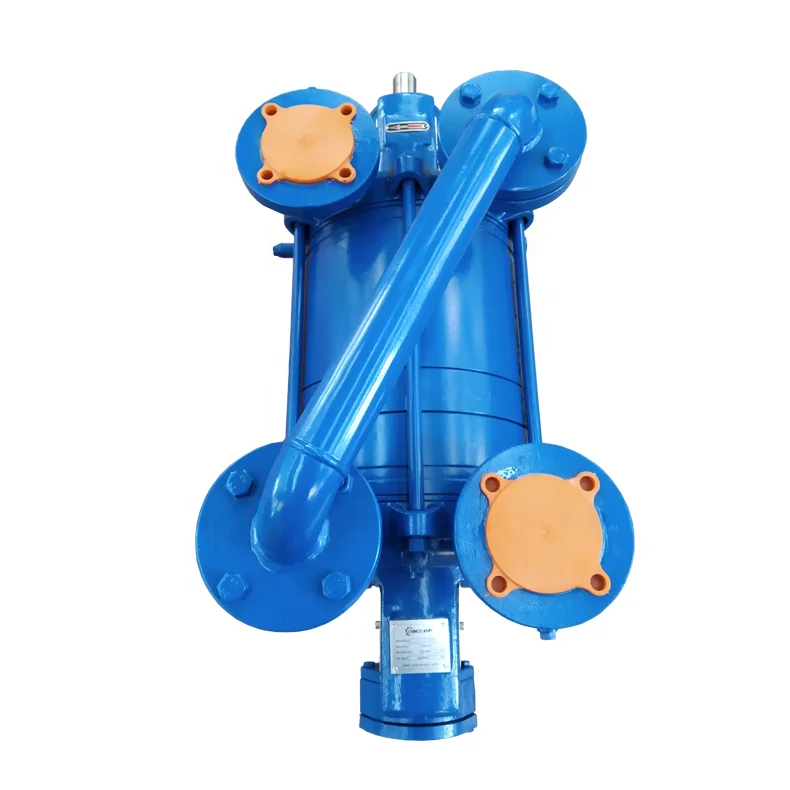 DLV600 Double Stage Liquid Ring Vacuum Pump Stainless Steel Water Ring Pump
