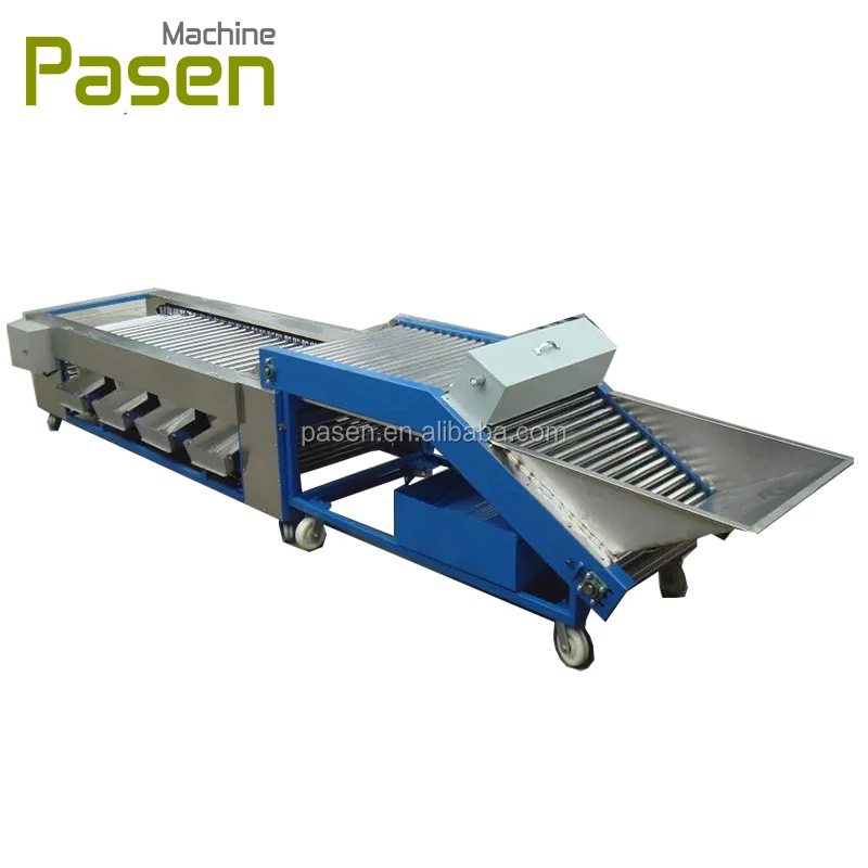 ミニトマト選別機リンゴ選別機丸型フルーツサイザー| Alibaba.com