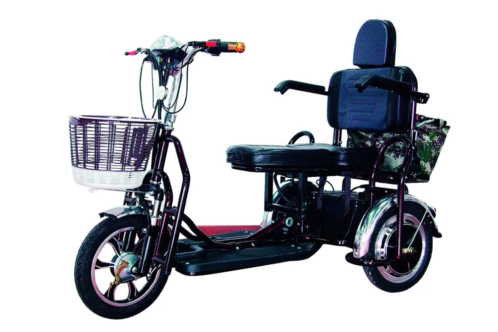 Electric Tricycle / Electric Scooter 