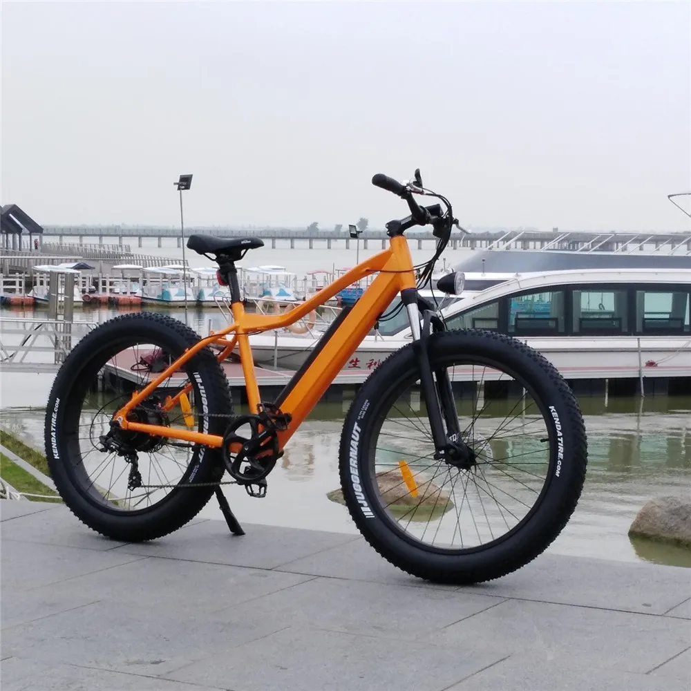 2019 Green Power 48v 750w Fat Tire 