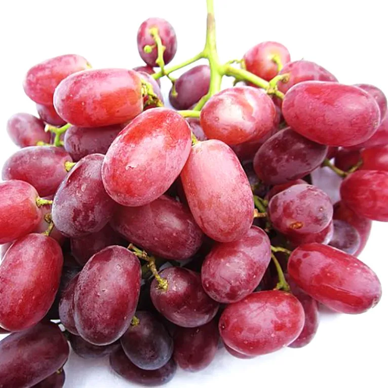 Mature varieties Seedless grapes fruit 