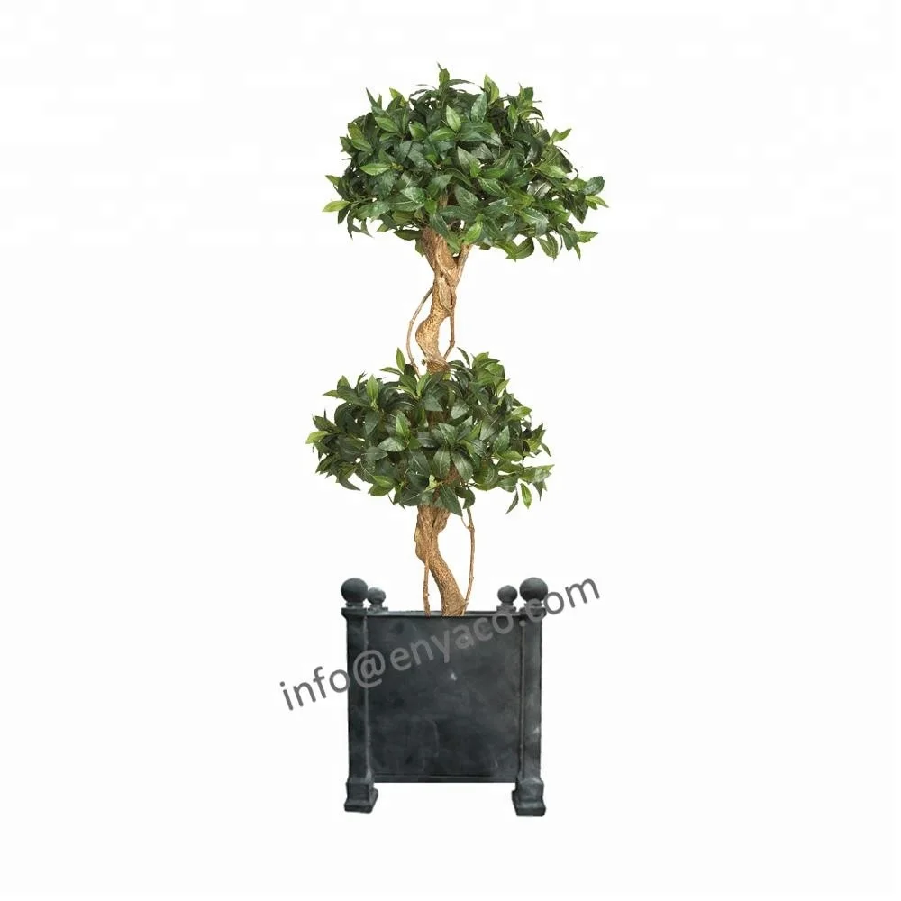 trees in planters for sale