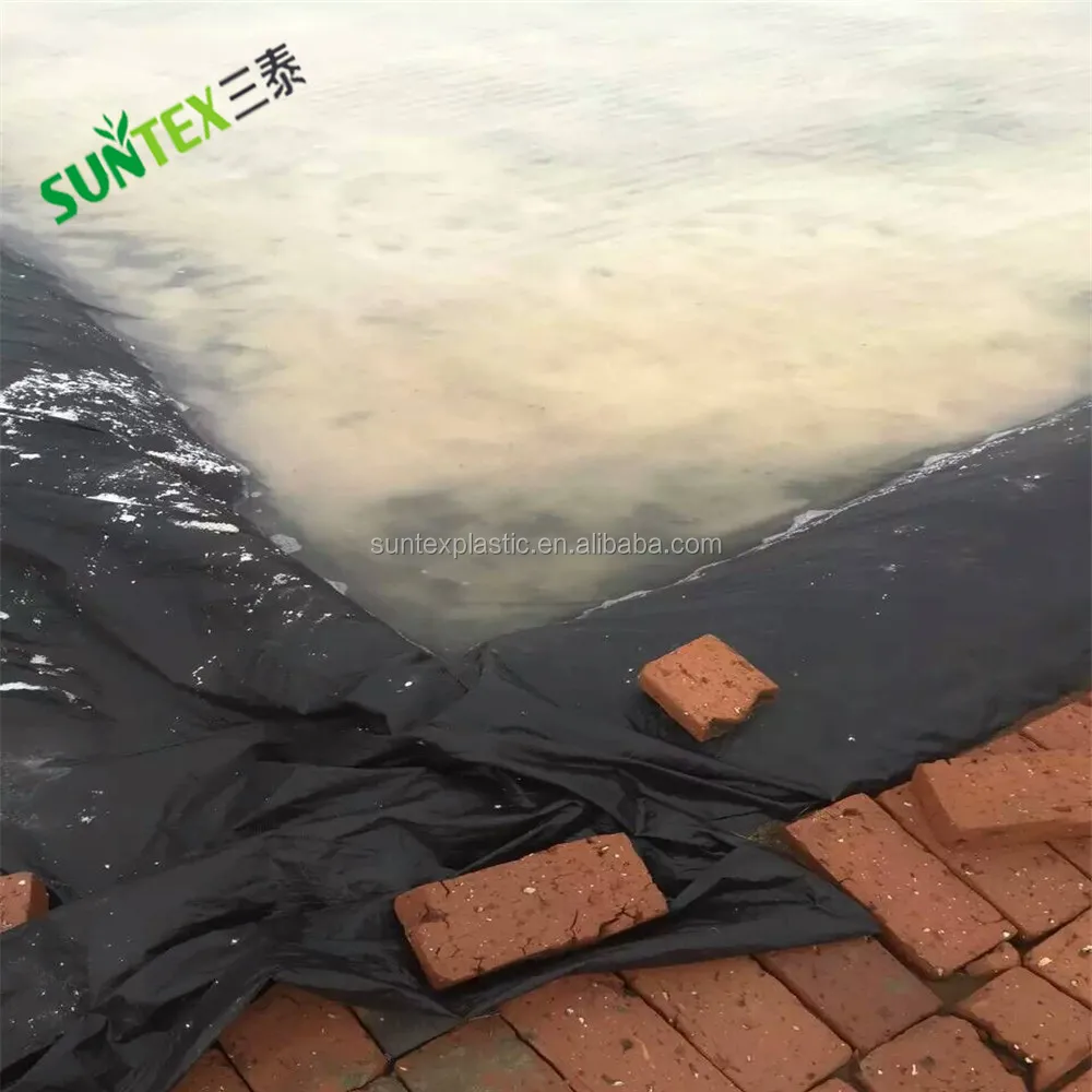 Inserto per laghetto esterno in HDPE da 0,3 mm membrana rinforzata per Inserto per laghetto esterno in HDPE da 0,3 mm membrana rinforzata per