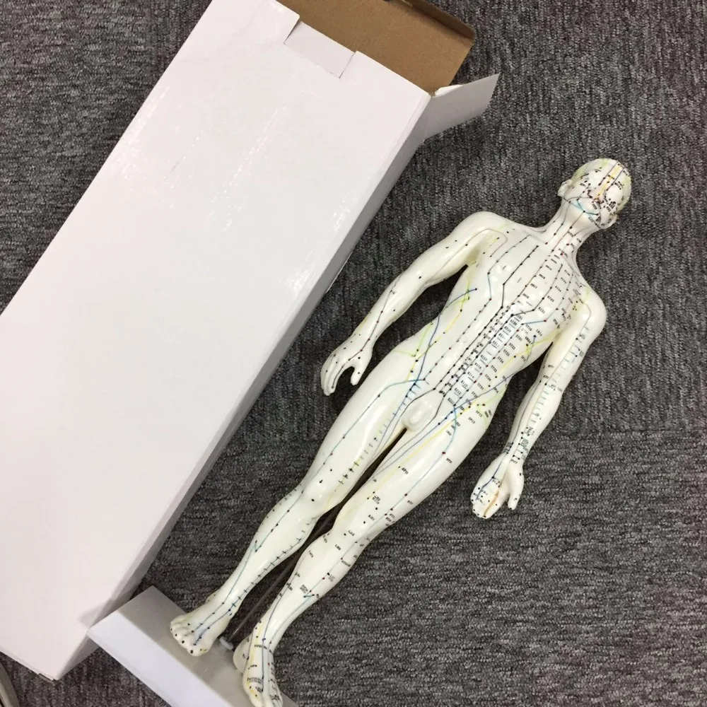 Женская акупунктурная модель 26 см