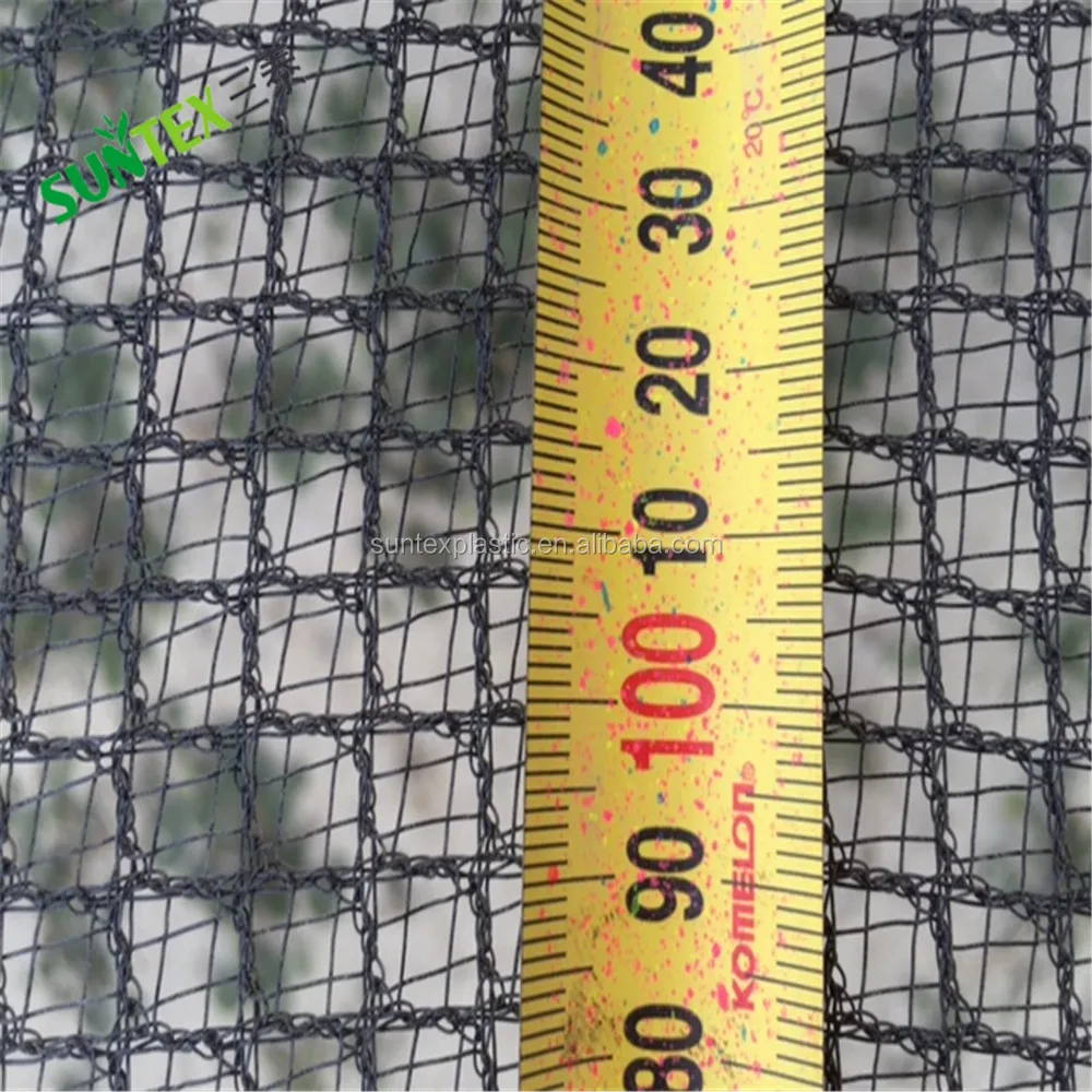 Anti Bird Netting for Grapes Farming Anti Hail Net with High Light Transparent Rate