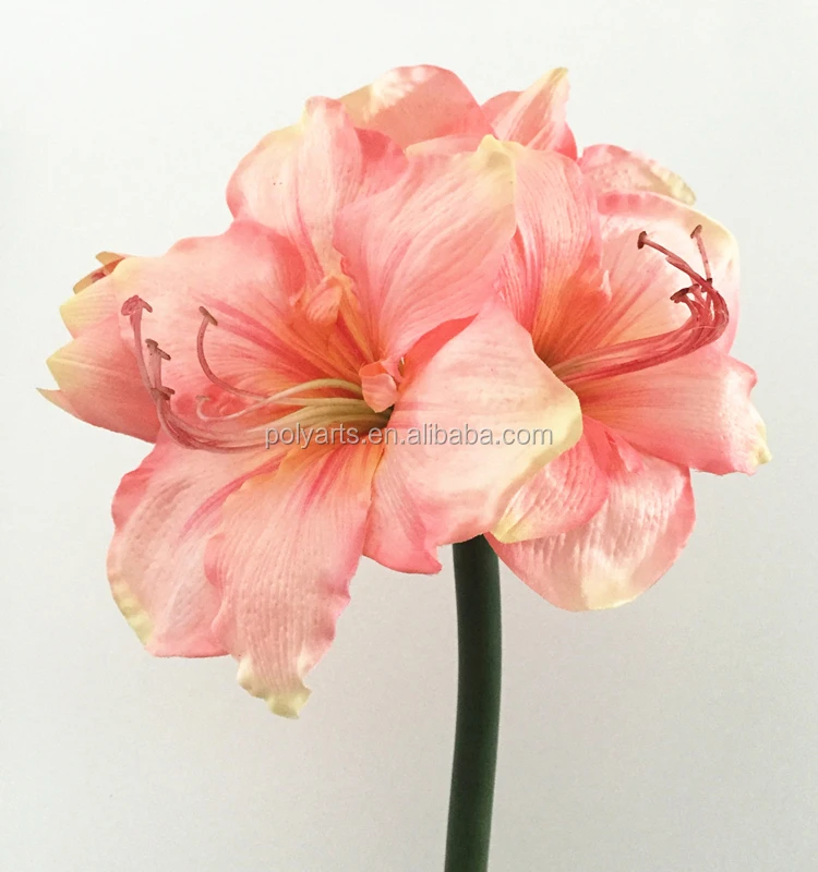 New Arrival Real-touch Silk Artificial Amaryllis with Foam Stem