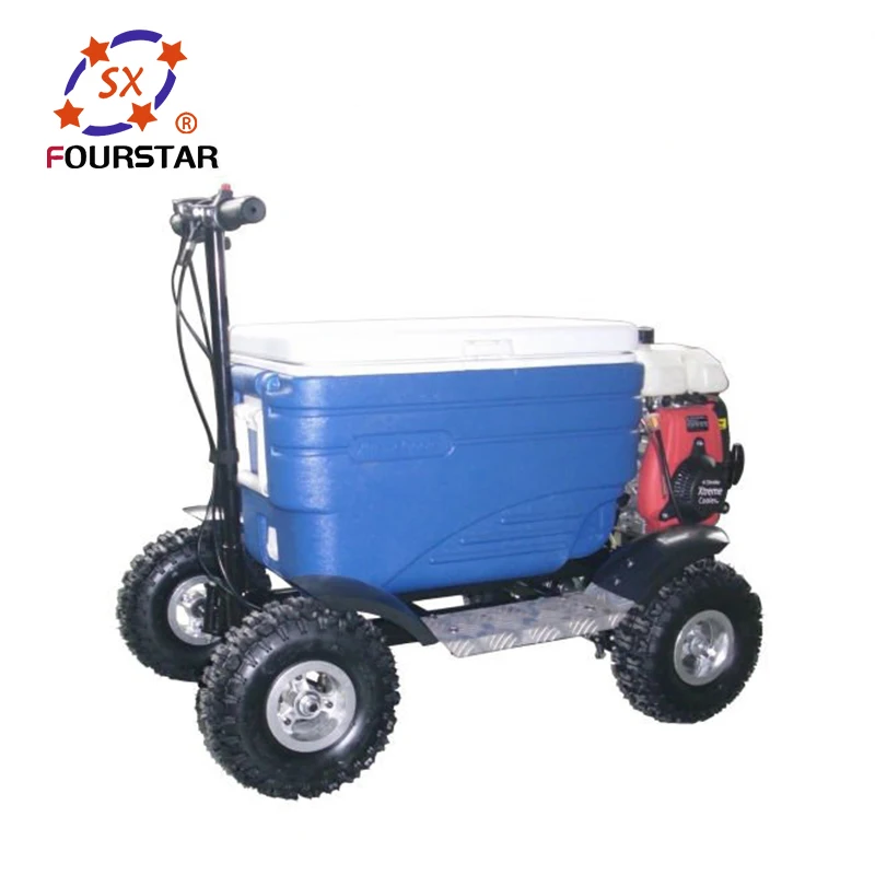 Professional Factory Outlet Gasoline Food Keeper Camping Using Motorized Cooler Scooter