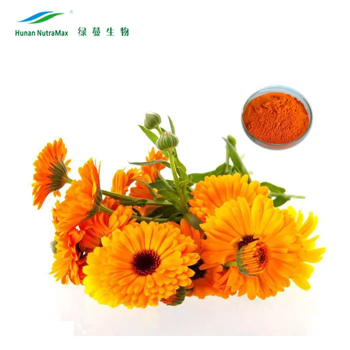 Calendula officinalis Flower extract