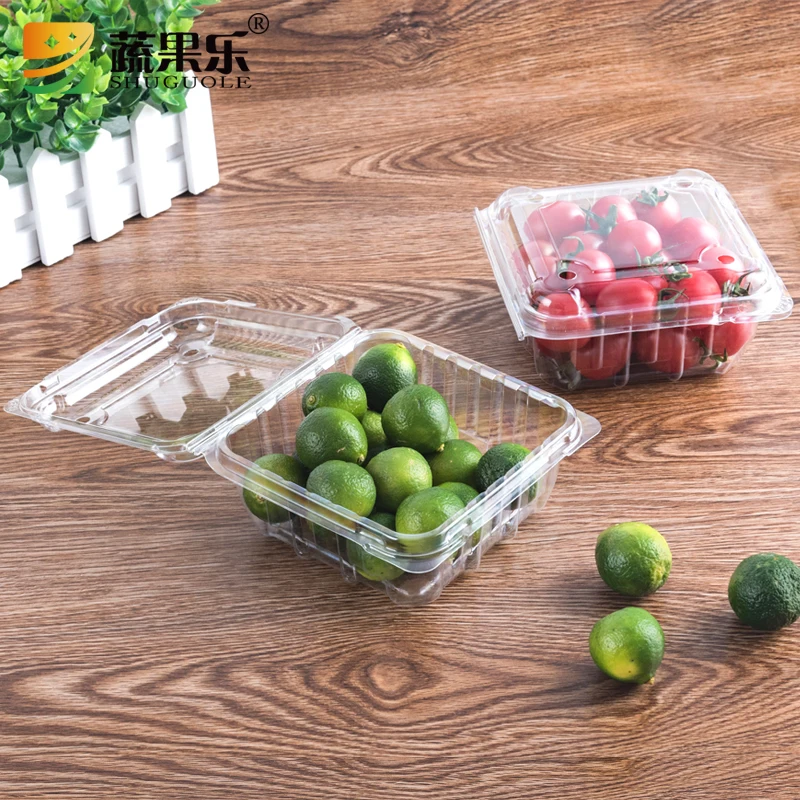 Plastic Containers｜Plastic Clear PET Fruit Container｜Plastic