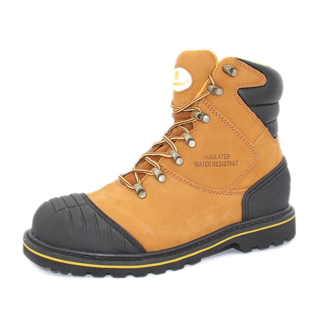BOTA