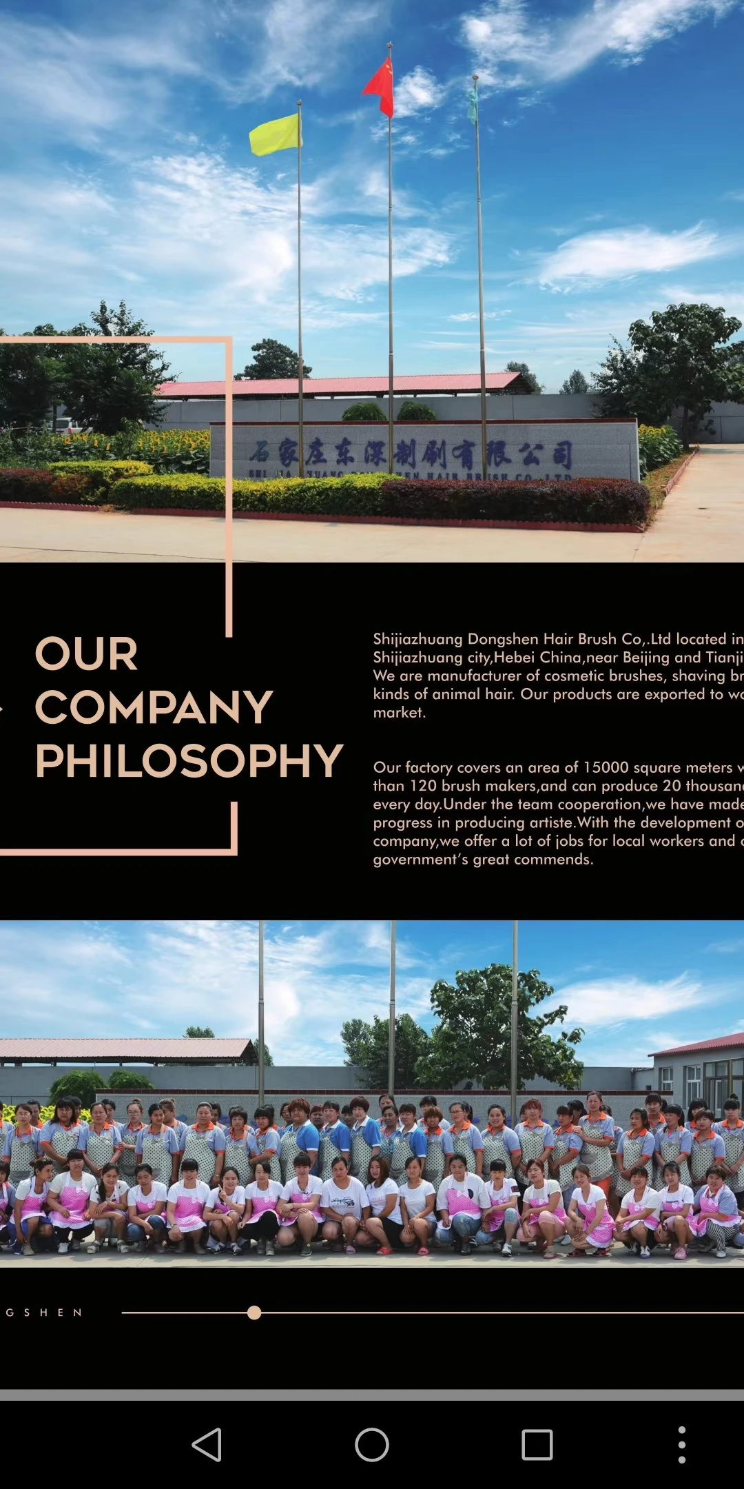 Shijiazhuang Dongmei Brush Co., Ltd. 3
