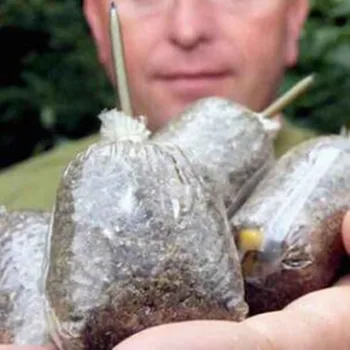 MOD CARPA GIREVOLI ANELLO FLESSIBILE CAMBIO RAPIDO ESCA VITI - Foto 9