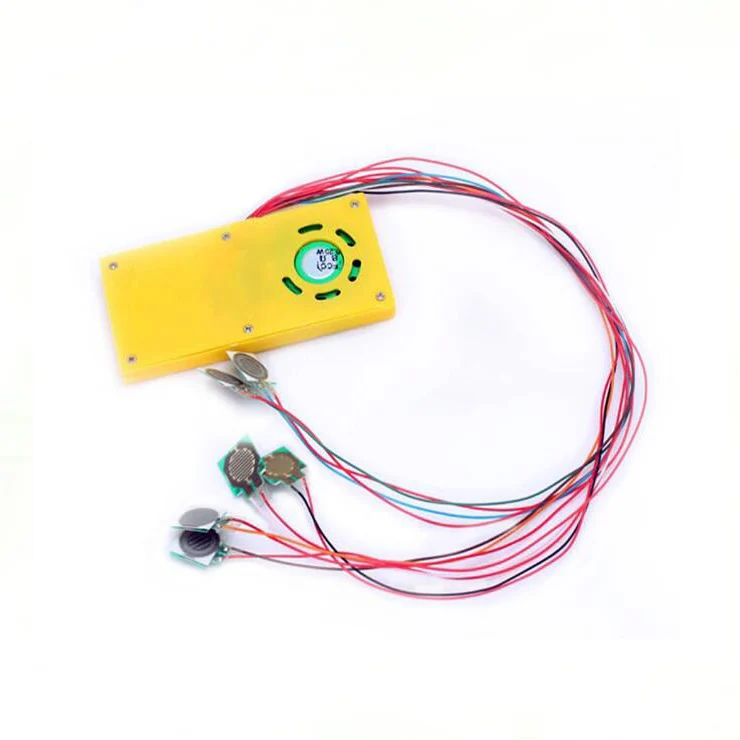 Pre-recorded Mini Sound Speaking Book with PET Film Module