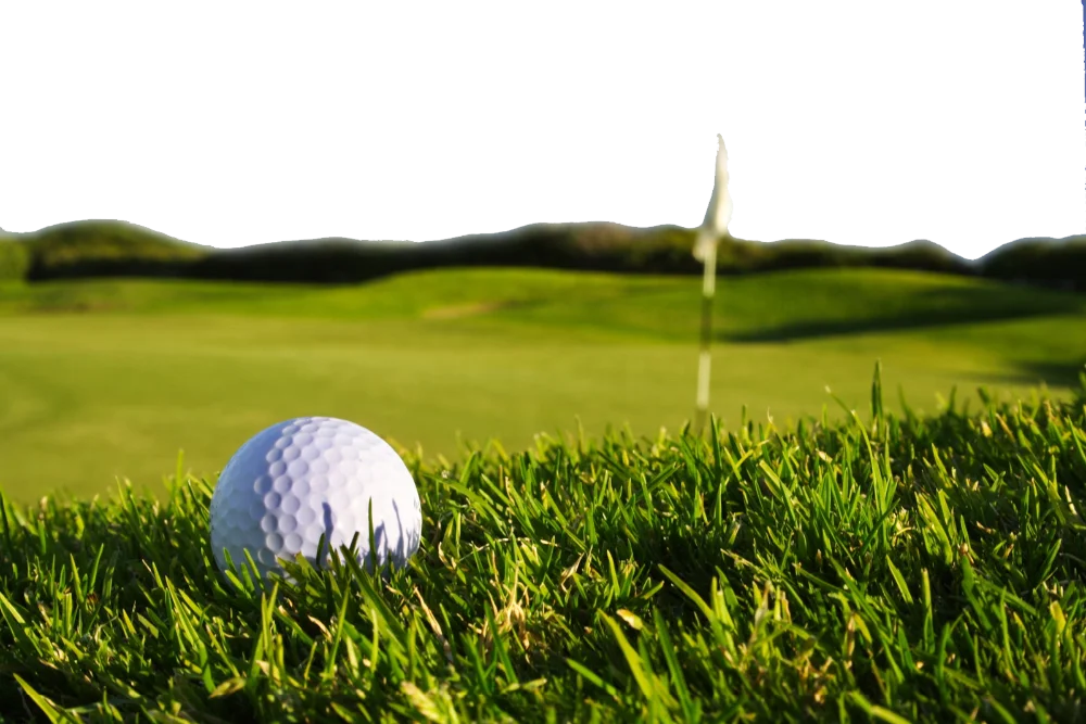 Гранулы из семян чая, гранулированная еда из семян чайного чая, управление дождевиком