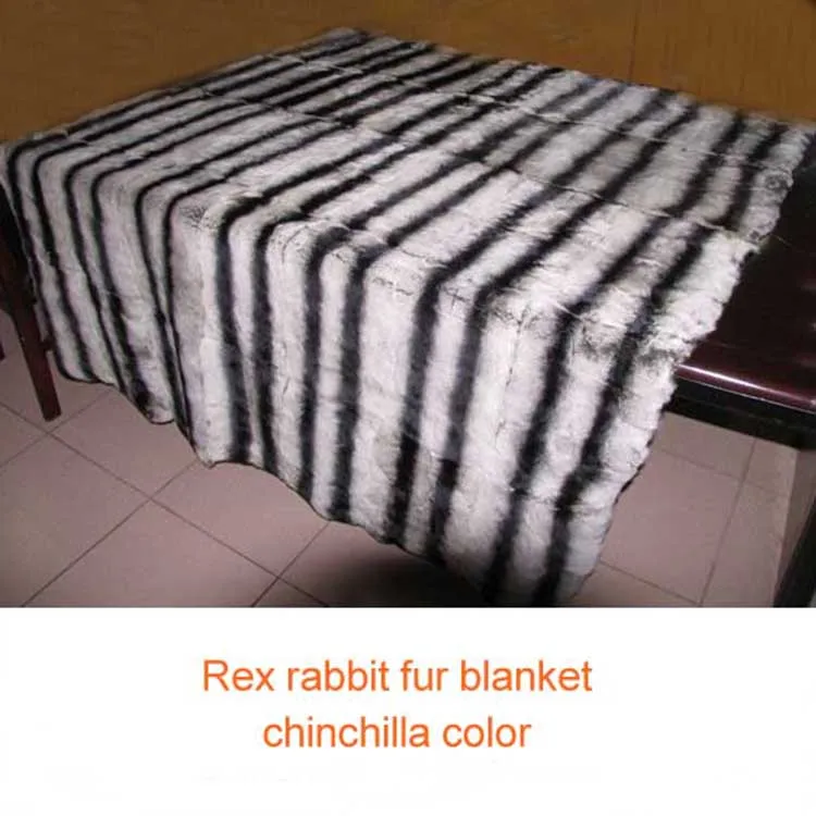 rex chinchilla blanket_