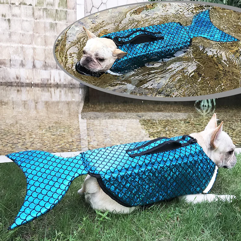 Meerjungfrauenkostüm Für Katzen – Fischschwanz-Design, Wasserdicht, Für 5–12 Kg, Glitzernd